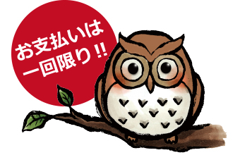 お支払いは一回限り！！